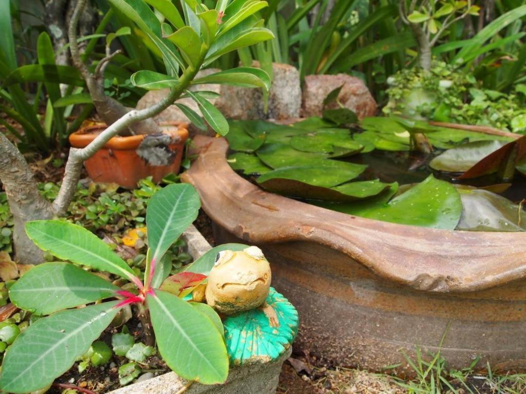 Baan Sala Lung Dam Hotel Bophut Luaran gambar