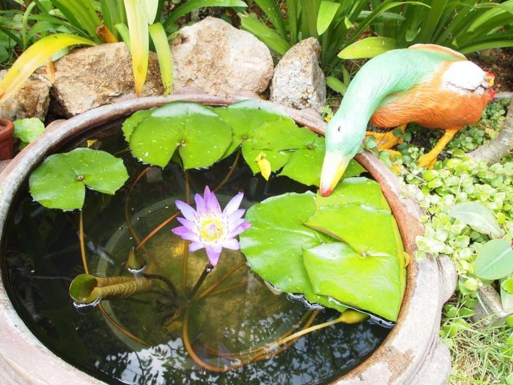 Baan Sala Lung Dam Hotel Bophut Luaran gambar